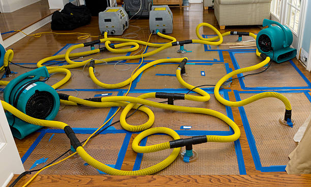Professional Flood Damage Restoration technician working in Paulden, AZ